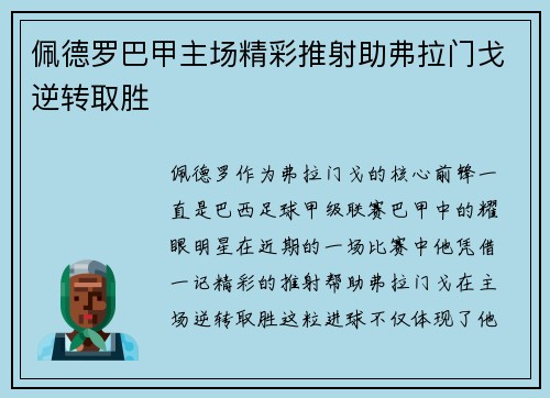 佩德罗巴甲主场精彩推射助弗拉门戈逆转取胜 佩德罗巴甲主场精彩推射助弗拉门戈逆转取胜