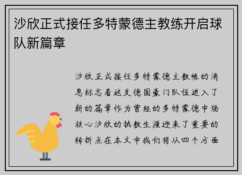 沙欣正式接任多特蒙德主教练开启球队新篇章